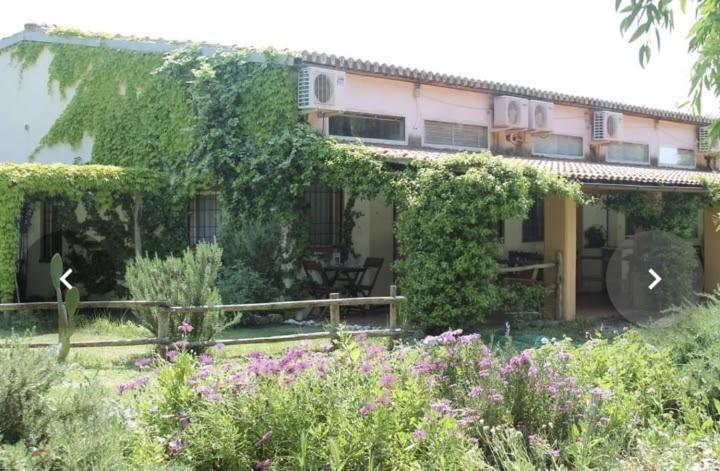 Ferienwohnung Il Piccolo Borgo Montalto di Castro Exterior foto